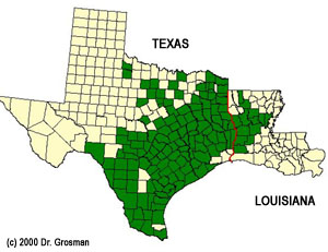 Range of Atta texana in texas and Louisiana.